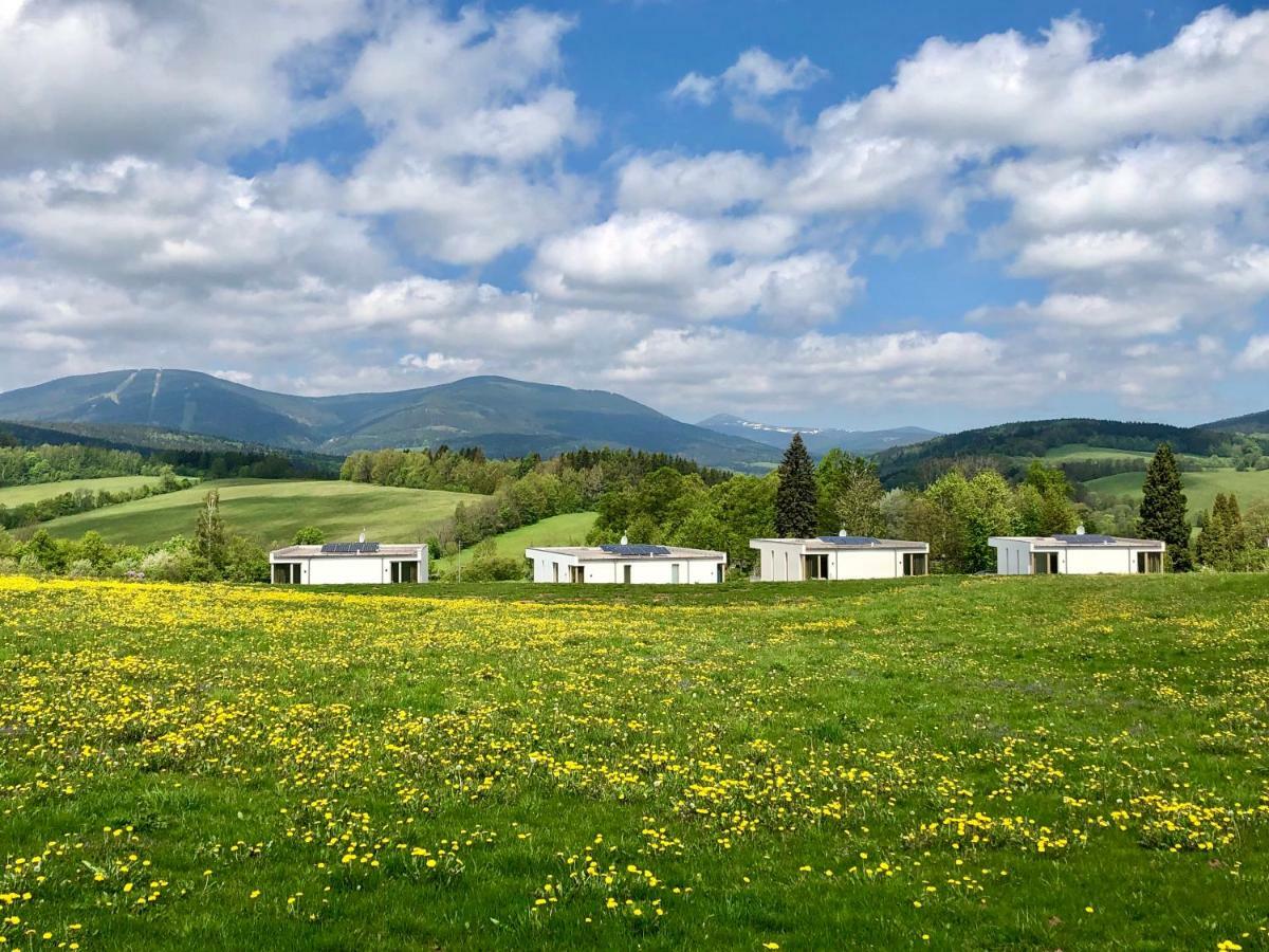 Apartmány HRÁDEČEK Mladé Buky Exterior foto